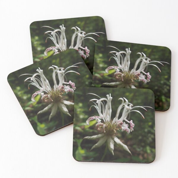 Item preview, White bergamot designed and sold by Daniel Holtmeyer.