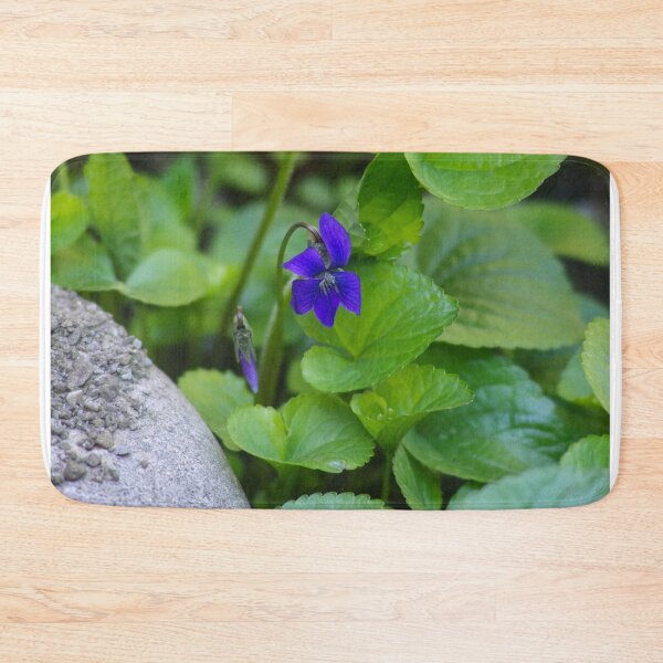 Item preview, Single Haptacia Noblis bloom designed and sold by SRosuphotos.
