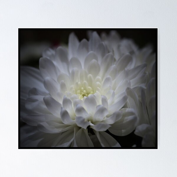 Item preview, Flor blanca designed and sold by Rebecca McGuire.