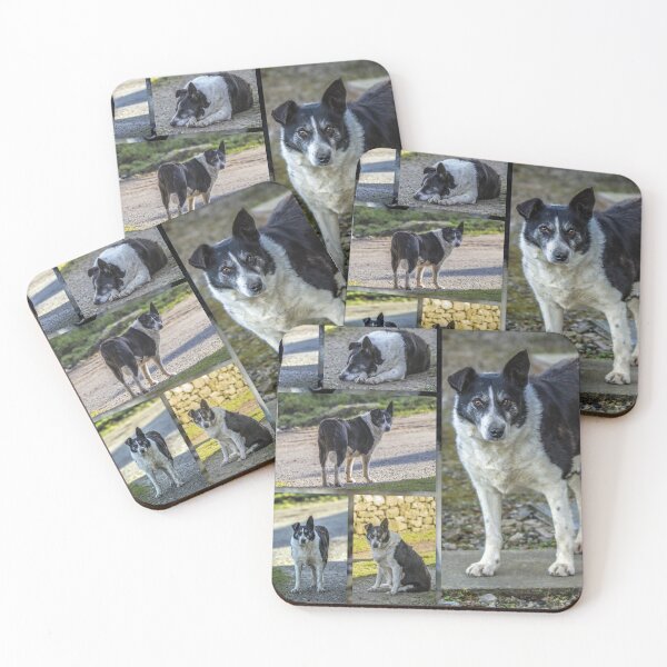 Item preview, Dog Collage (None Sterile) Mask designed and sold by Sandra Cockayne.