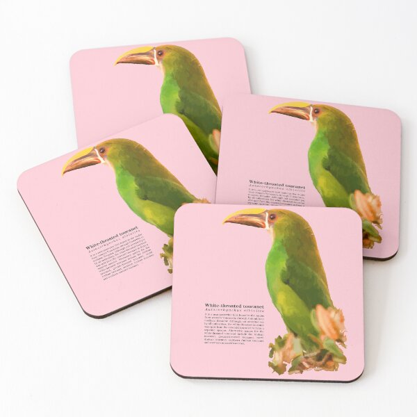 Item preview, White-throated toucanet on the canopy at dawn designed and sold by Mauricio Acosta.
