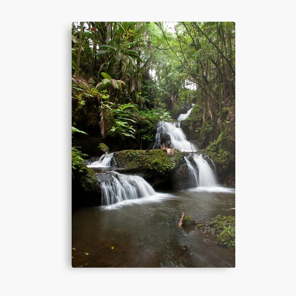 Item preview, Falls in a Rainforest designed and sold by ejlinkphoto.