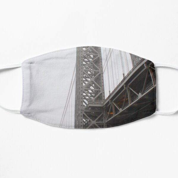 George Washington Fog Flat Mask