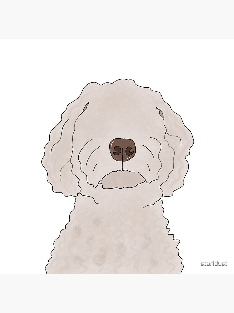 How To Draw A Goldendoodle ubicaciondepersonas.cdmx.gob.mx