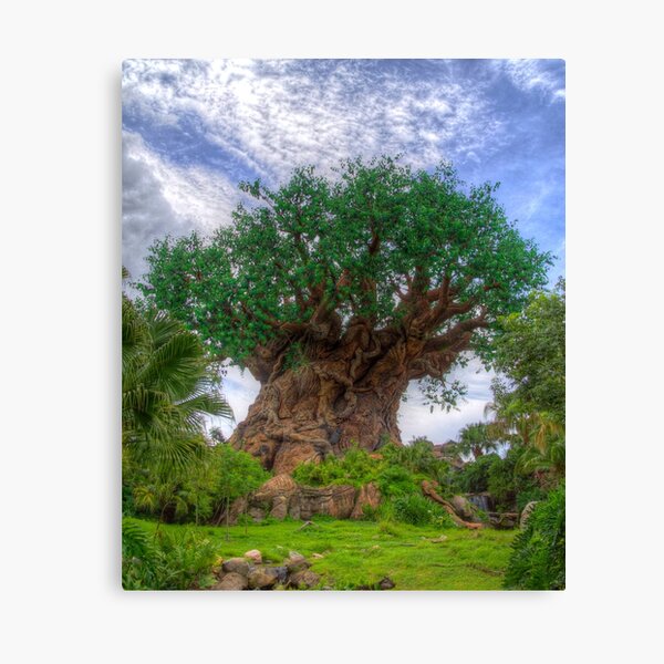 Tree of Life Canvas Print