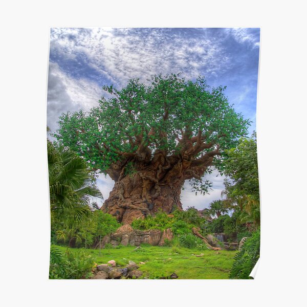 Tree of Life Poster