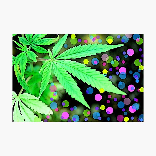 Artikelvorschau, Bubble Leaf Dream entworfen und verkauft von FloraDiabla.