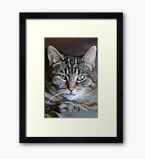 Tabitha Framed Print