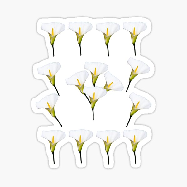 White Calla Lily Sticker
