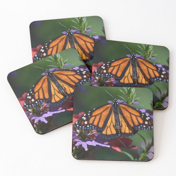 Aperçu de l'œuvre Le papillon dans les fleurs créée et vendue par ReneeKennedy.