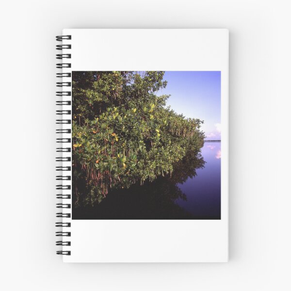 Item preview, Mangrove designed and sold by dcdigital.