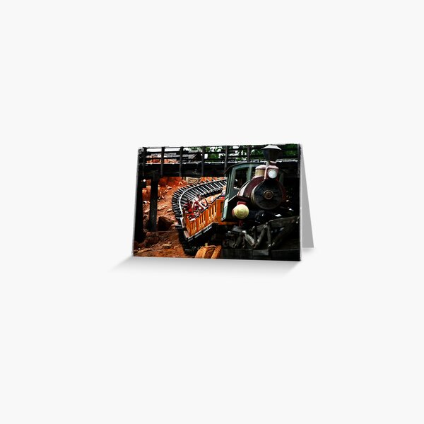 Wildest Ride Greeting Card