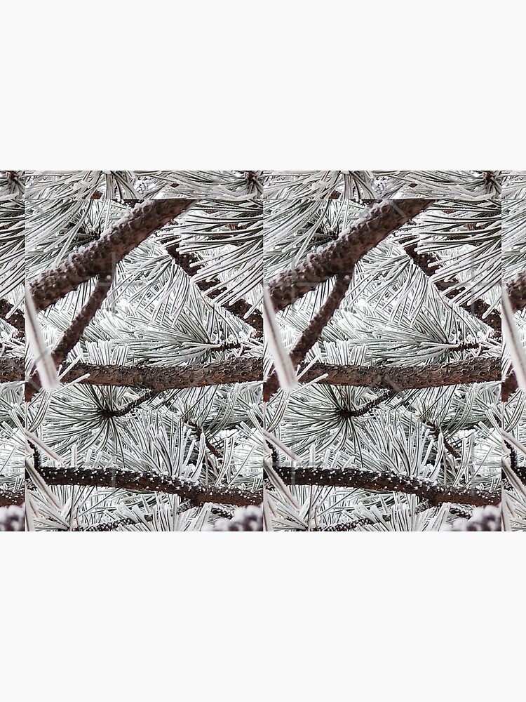 Frozen Winter Branches by snohock