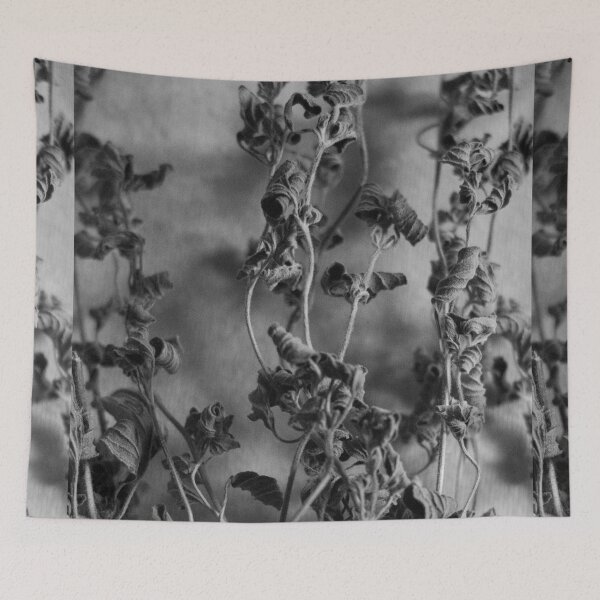 Item preview, oregano designed and sold by andreantonella.