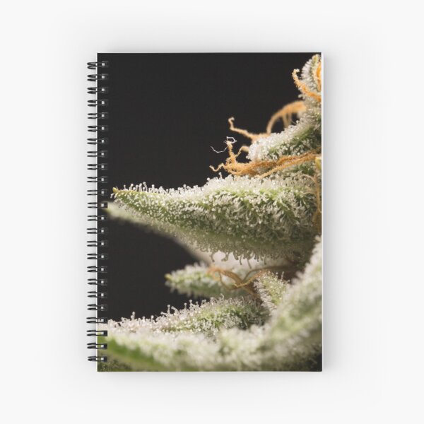 Cannabis 24K trichomes Spiral Notebook