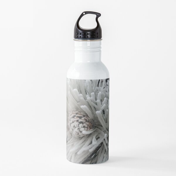 Frosted Pine Cones Winter Wonderland Water Bottle