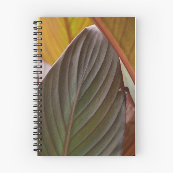 Item preview, Canna Leaves designed and sold by StampCity.