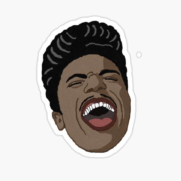 &ldquo;Little Richard&rdquo; Sticker for Sale by meggykins37 | Redbubble