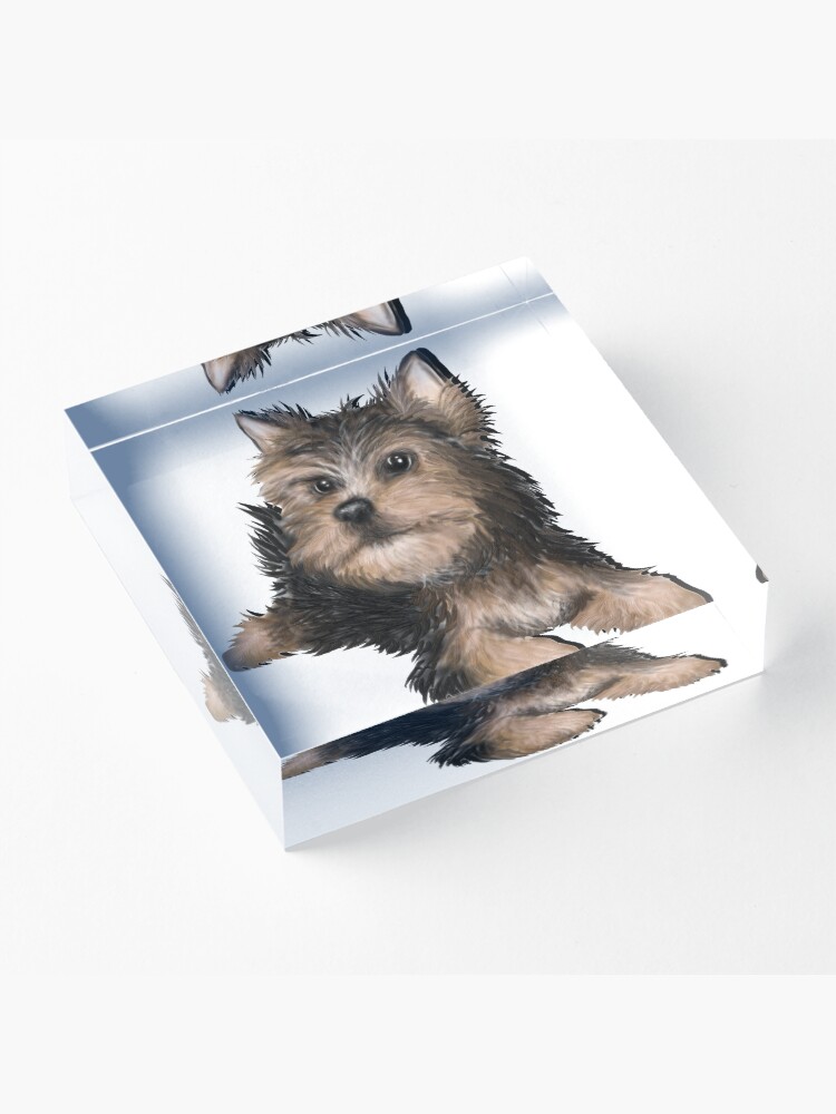 Alternate view of Alert Young Yorkshire Terrier Puppy Acrylic Block