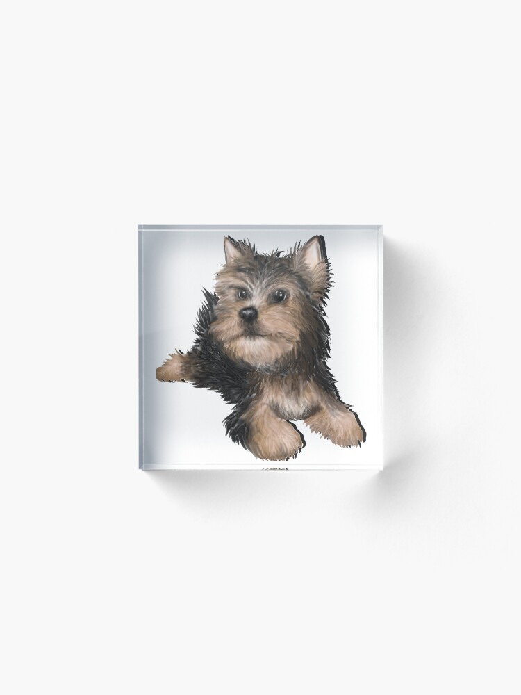 Alternate view of Alert Young Yorkshire Terrier Puppy Acrylic Block