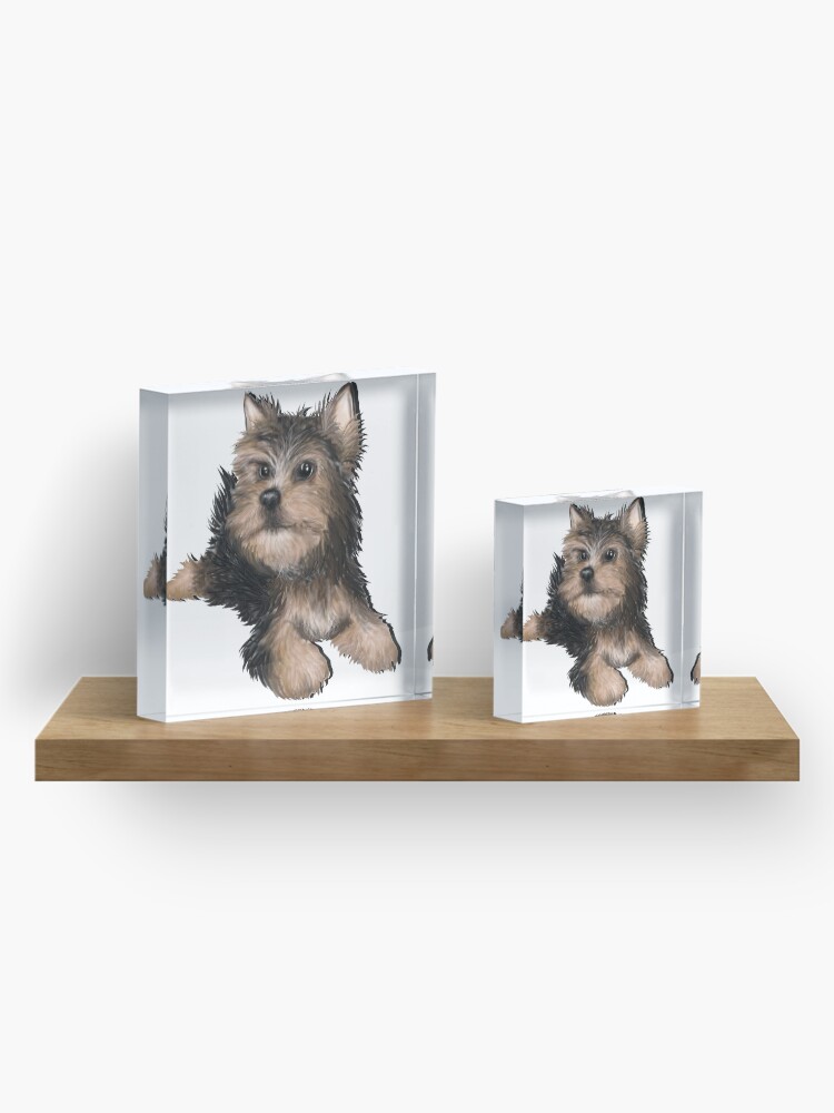 Alternate view of Alert Young Yorkshire Terrier Puppy Acrylic Block
