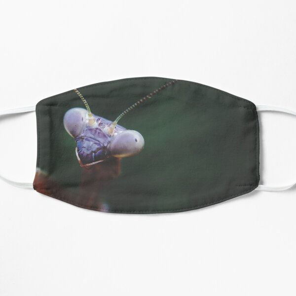 Praying Mantis Flat Mask