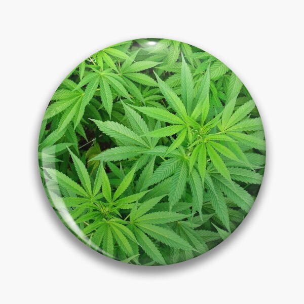 Item preview, Marijuana Cannabis Weed Pot Plants designed and sold by MarijuanaTshirt.