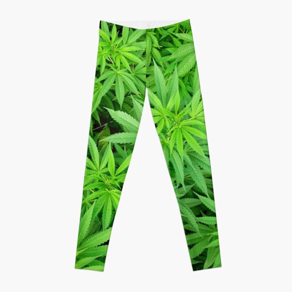 Marijuana Cannabis Weed Pot Plants Leggings