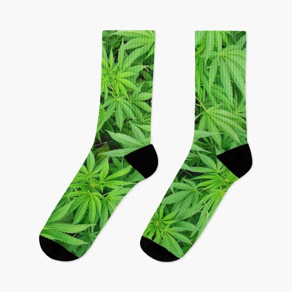 Item preview, Marijuana Cannabis Weed Pot Plants designed and sold by MarijuanaTshirt.