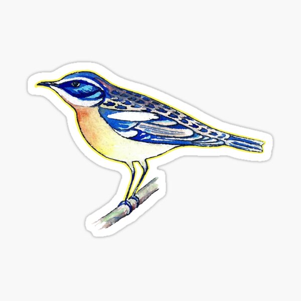 saxicola bird Sticker