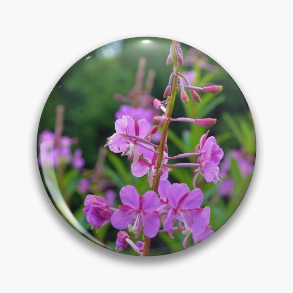 Item preview, Fireweed designed and sold by soulestial.