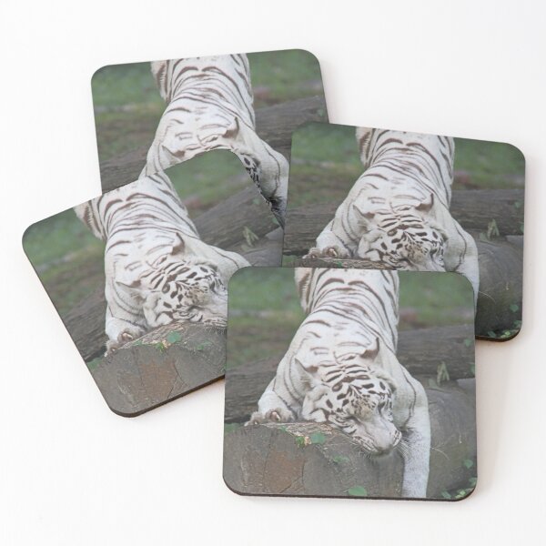 Item preview, White Bengal Tiger Marking Territory designed and sold by Carole-Anne.