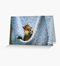 "Prelude To A Sneeze...." Greeting Card
