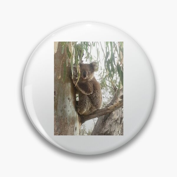 Item preview, Billabong Bill designed and sold by Petcam.