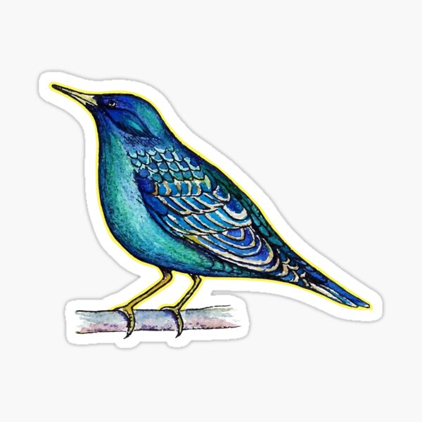 starling bird Sticker