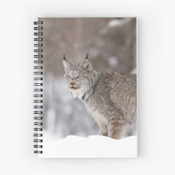 Item preview, Wild Canada Lynx designed and sold by mlorenz.