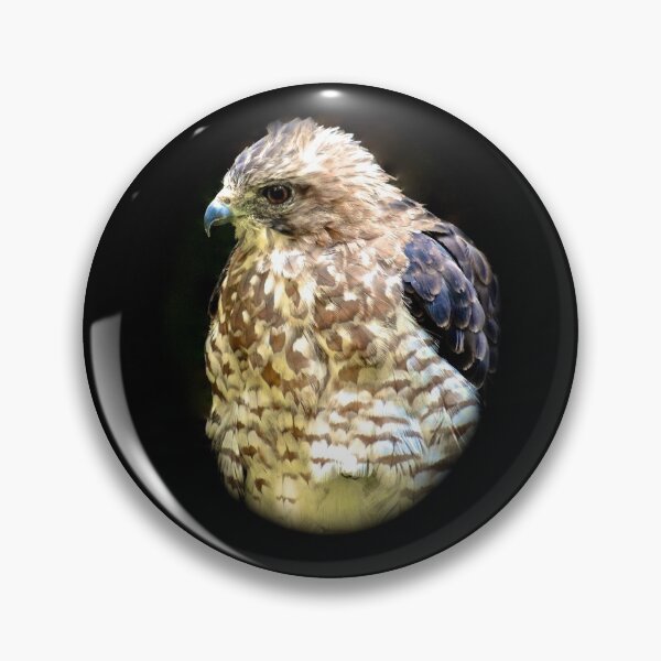Item preview, Red Shouldered Hawk designed and sold by BBrightman.
