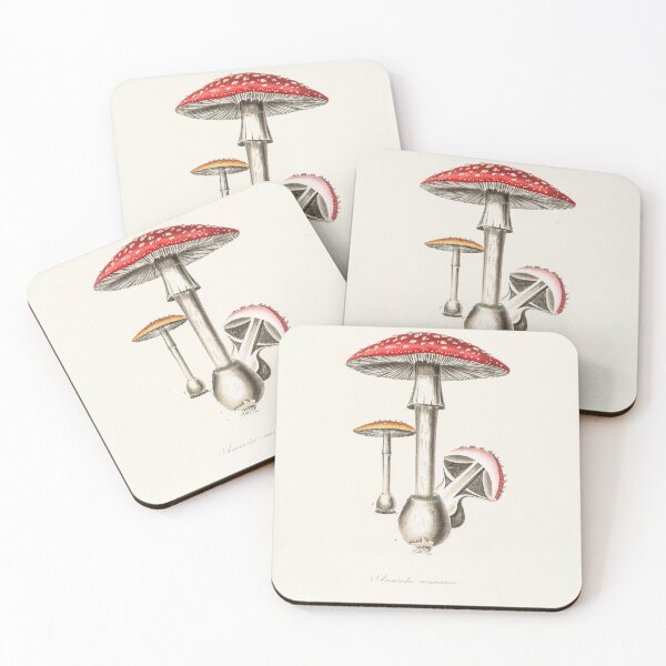 Item preview, Amanita Muscaria - Mushroom Diagram designed and sold by Lemon  Merch.