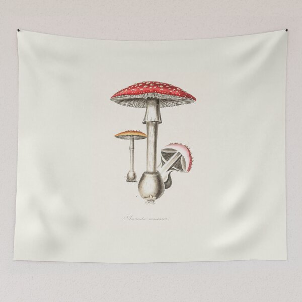 Item preview, Amanita Muscaria - Mushroom Diagram designed and sold by Lemon  Merch.