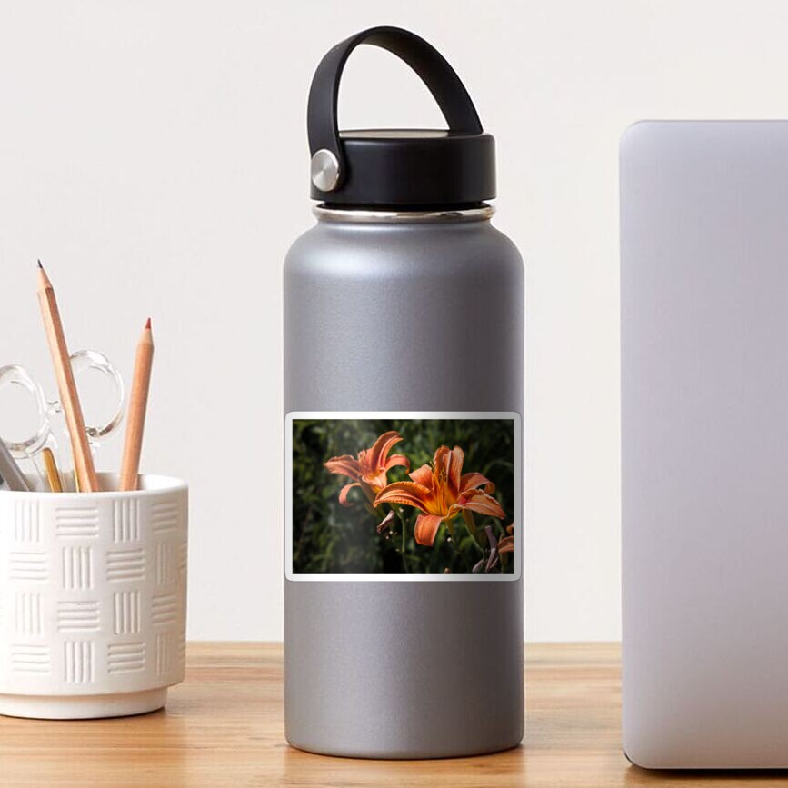 Orange Yellow Fire Lily Flower Sticker