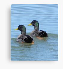 The Twins Canvas Print