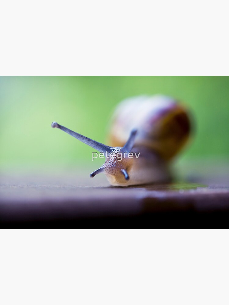 Day 359 - 3rd July 2012 by petegrev