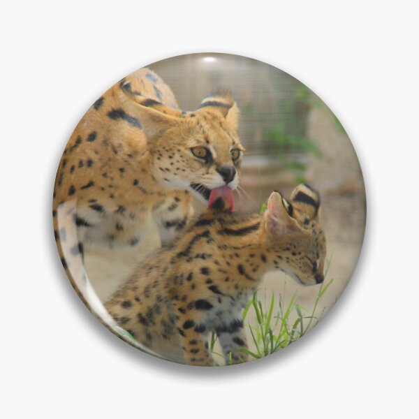 Item preview, Serval Cat Grooming Her Kitten designed and sold by Carole-Anne.