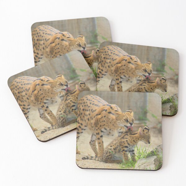 Item preview, Serval Cat Grooming Her Kitten designed and sold by Carole-Anne.