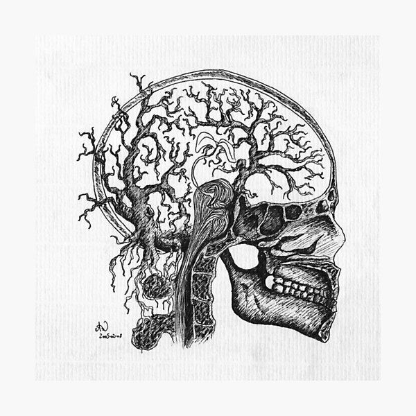 the brain tree Photographic Print