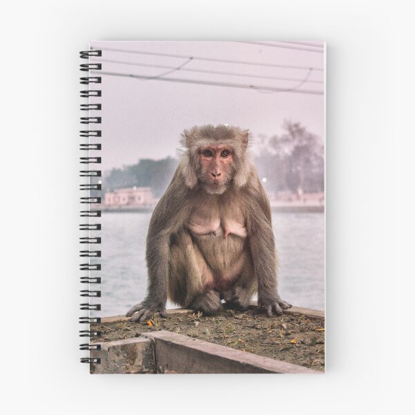Item preview, Monkey in India at the Ganges River designed and sold by Guarany.