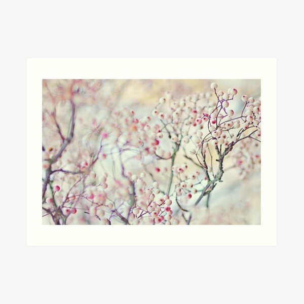 Untitled Art Print