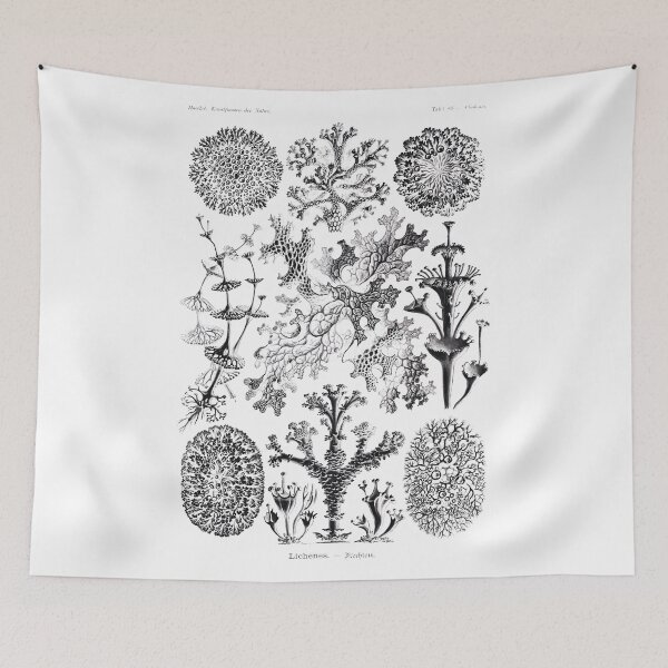 Item preview, Vintage Coral diagram Tshirt - edited from RawPixel designed and sold by lilyvermilya.
