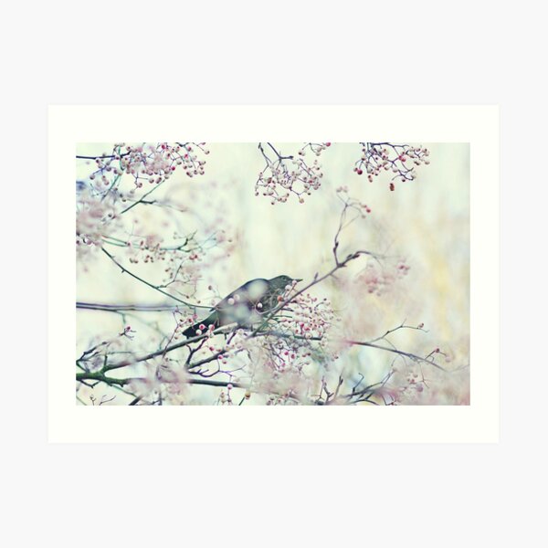 Untitled Art Print