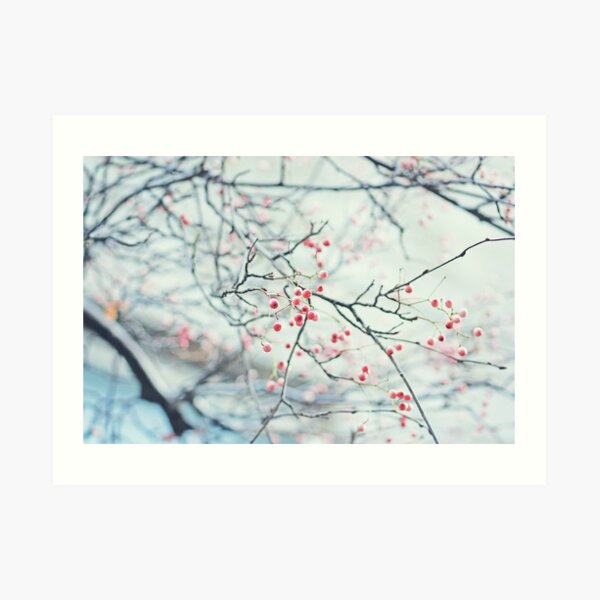 Untitled Art Print